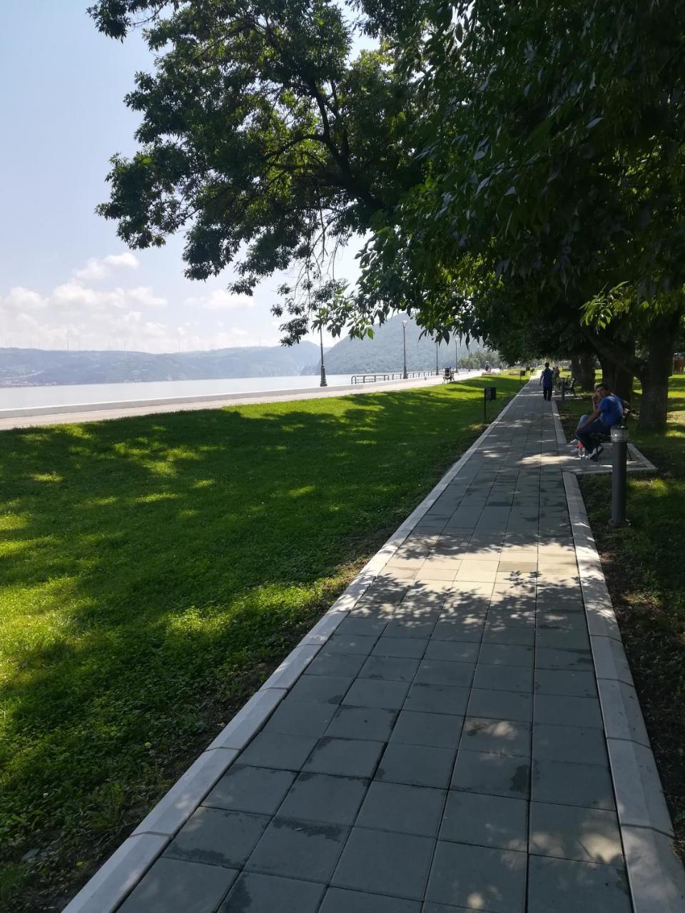 Apartman Bogic Golubac Exterior photo